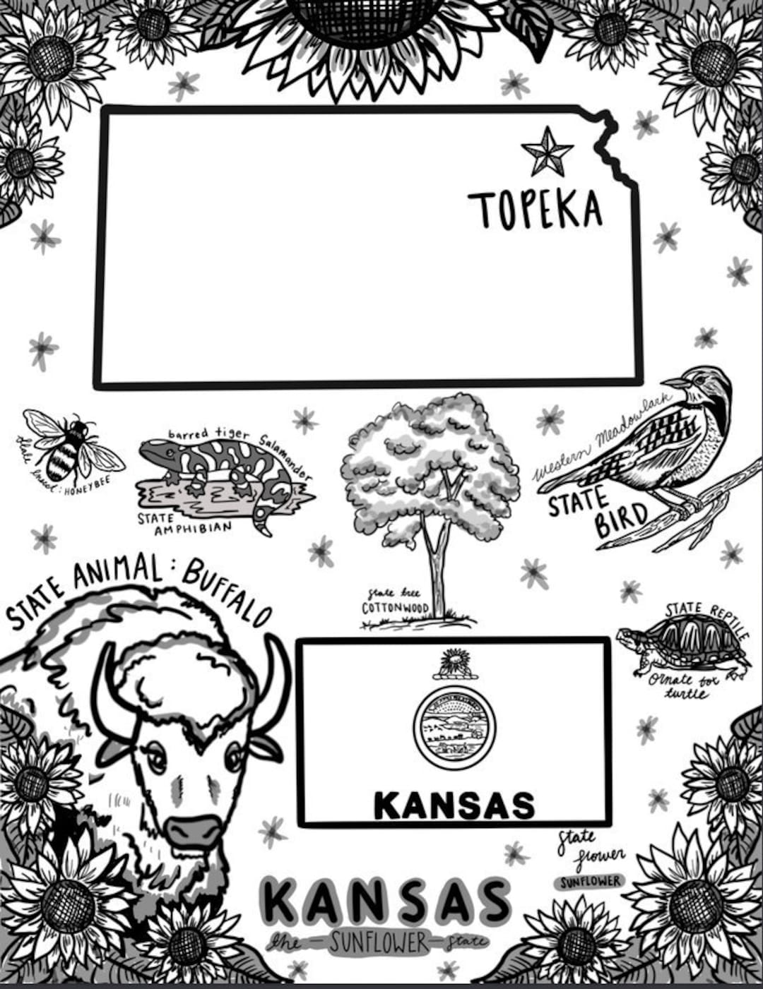 Kansas Coloring Page - Etsy