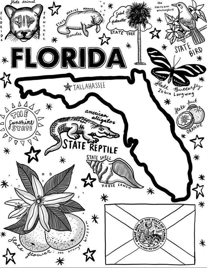Florida Coloring Page Etsy Florida Coloring Page Etsy