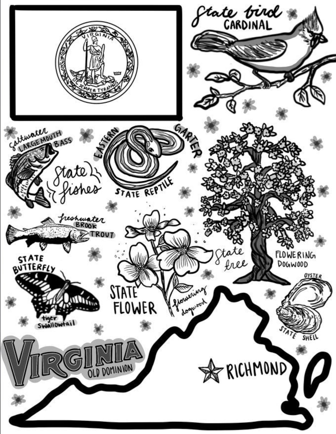 Virginia Map Coloring Page