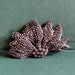 see more listings in the BROOCHES section