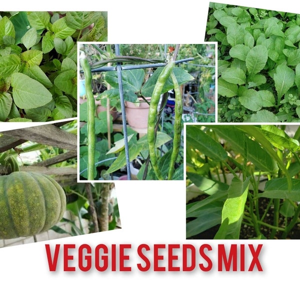 Asian Veggie Seeds Mix 500+ Seeds (Please Read Below)