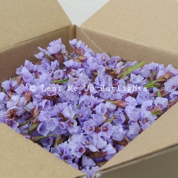 Sea Lavender Flowers, Statice Petals, Purple Flowers for Arts and Crafts, Floral Supplies, Natural Flowers, Crafts And Resin Fillers