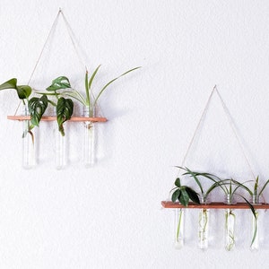 May include: Two wooden shelves with hanging plants in glass test tubes. The shelves are suspended from the ceiling with twine. The plants are various types of greenery.
