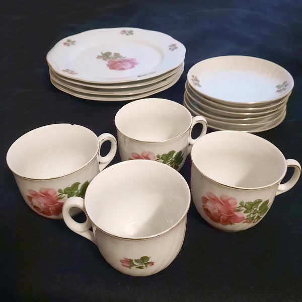 Jewel Bavaria Rose China Lunch Plate and Tea Cup Porcelain Dinnerware Set