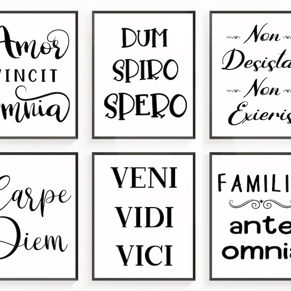 BUNDLE Latin phrases SVG, Latin PNG, jpg,- Latin Shirt print, Latin mug quote, Latin Wall art - Instant Download, Sublimation, Cut files