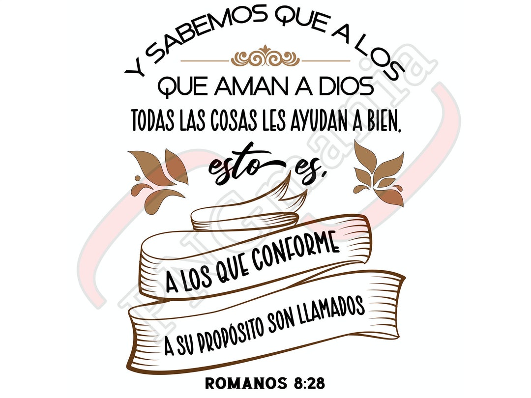 predicación de romanos 8 28