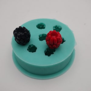 Raspberry/Blackberry-Silicone Mold-Faux Fake Bake-Clay,Resin,Soap,Candle,Plaster,Fondant, Concrete or Baking Mold-Two Mold Styles Available