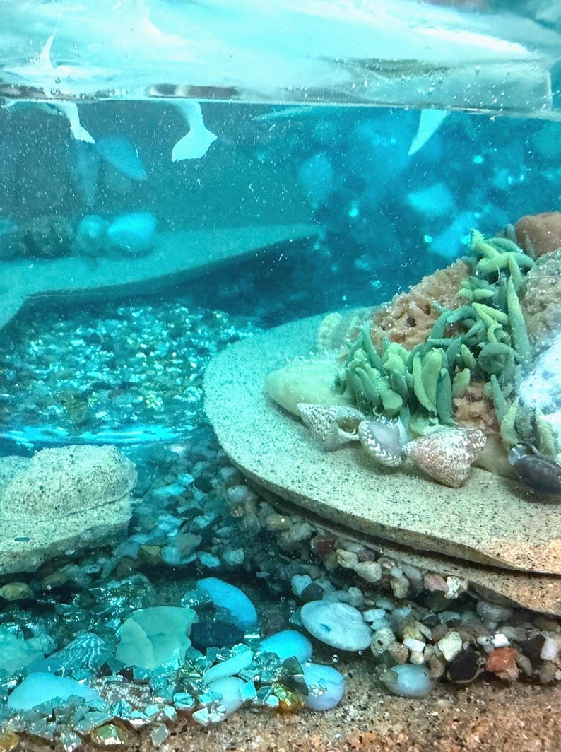 May include: A detailed underwater diorama with a turquoise and blue color scheme. The scene includes a sandy base, small rocks, and a circular platform with seashells and green plant-like structures. The water appears clear with some floating elements.