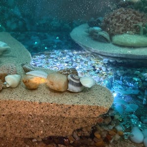 May include: A close-up of a miniature underwater scene with seashells, pebbles, and sand. The scene includes a variety of seashells, small rocks, and a sandy base. The water is a clear blue, and the scene is well-lit.