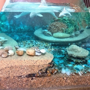 May include: A clear, pyramid-shaped decorative piece with a miniature ocean scene. It features a sandy base, seashells, and a turquoise-colored liquid with small, white dolphin figures. The scene includes a coral-like structure and small pebbles.