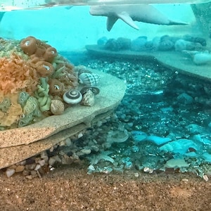 May include: A miniature ocean diorama featuring a sculpted whale swimming above a coral reef. The reef is composed of layered rock and sand, with colorful coral and seashells. The water is a clear, turquoise blue.