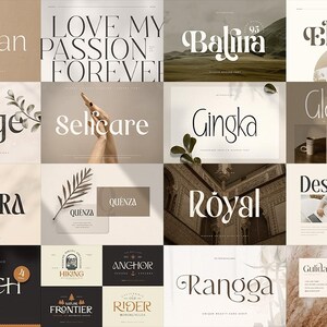 Op de afbeelding: Een verzameling van 16 verschillende lettertypen, elk weergegeven met een unieke achtergrond en tekst. De lettertypen zijn allemaal in een moderne, minimalistische stijl en zijn perfect voor branding, logo's en website-ontwerp.