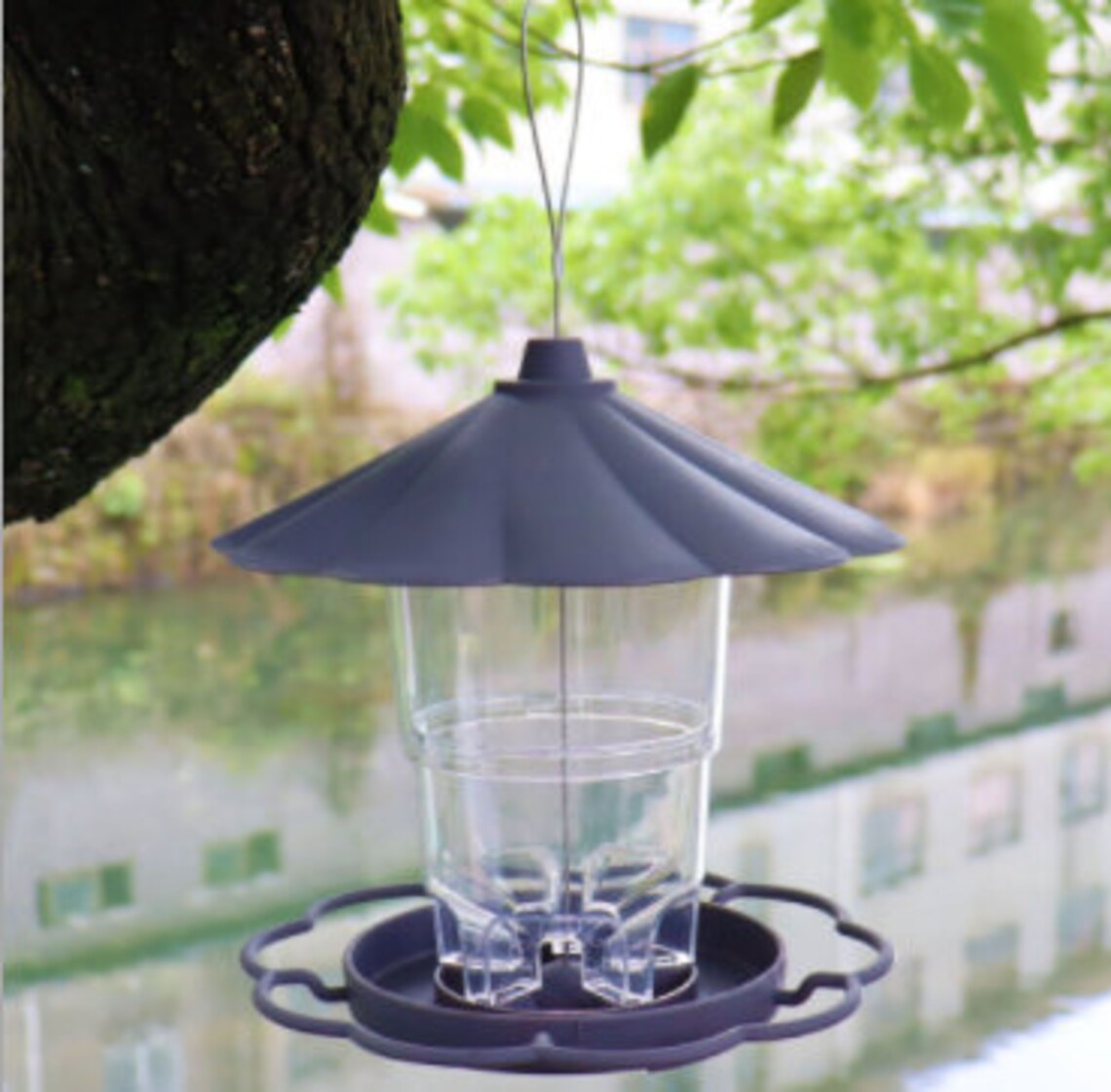 Outdoor Hanging Automatic Bird Feeder Bird Feeders Outdoor Etsy