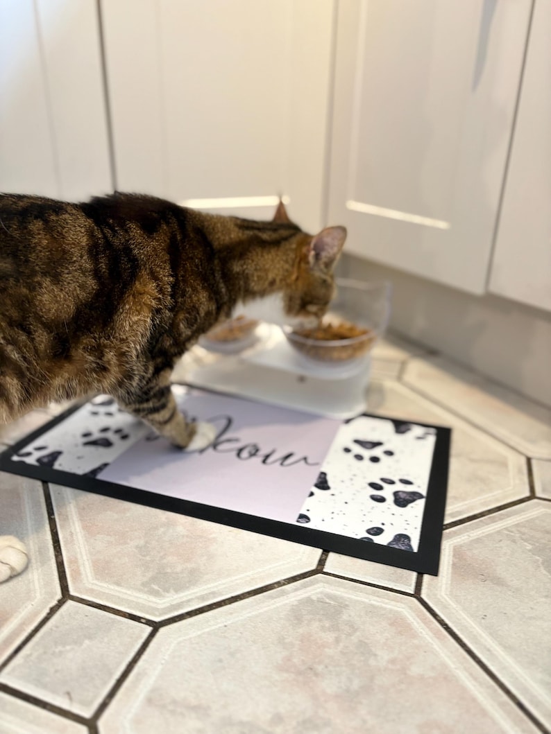 May include: A tabby cat eating from a white and grey double bowl pet feeder on a black and white paw print floor mat with the word "your" printed on it.