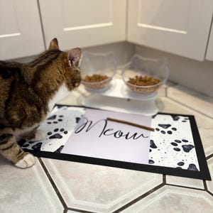 May include: A brown tabby cat looking at two clear plastic cat food bowls filled with dry kibble. The bowls are on a white stand. The cat is standing on a black and white paw print mat with the word "Meow" written on a white card on top of the mat.
