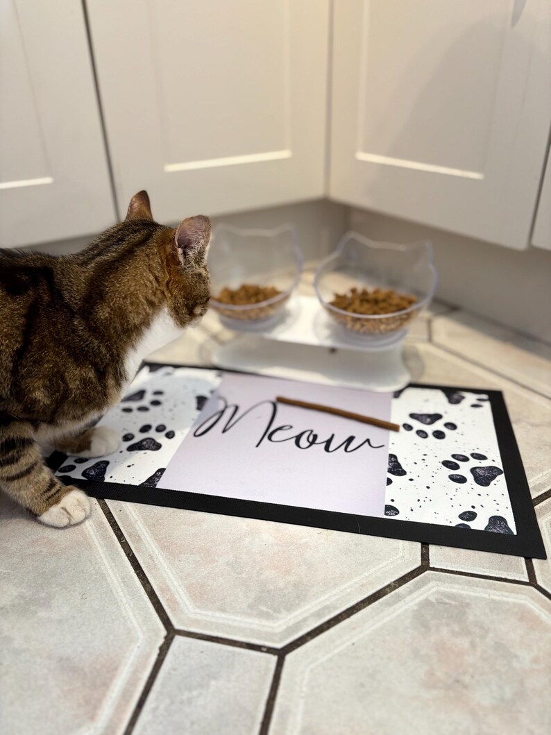 May include: A brown tabby cat looking at two clear plastic cat food bowls filled with dry kibble. The bowls are on a white stand. The cat is standing on a black and white paw print mat with the word "Meow" written on a white card on top of the mat.