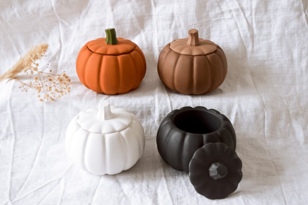 Kürbis Dose mit Deckel Raysin weiß schwarz braun orangegrün Herbstdeko Halloween