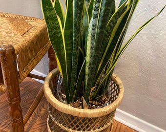 Vintage bohemian-style woven plant or display basket