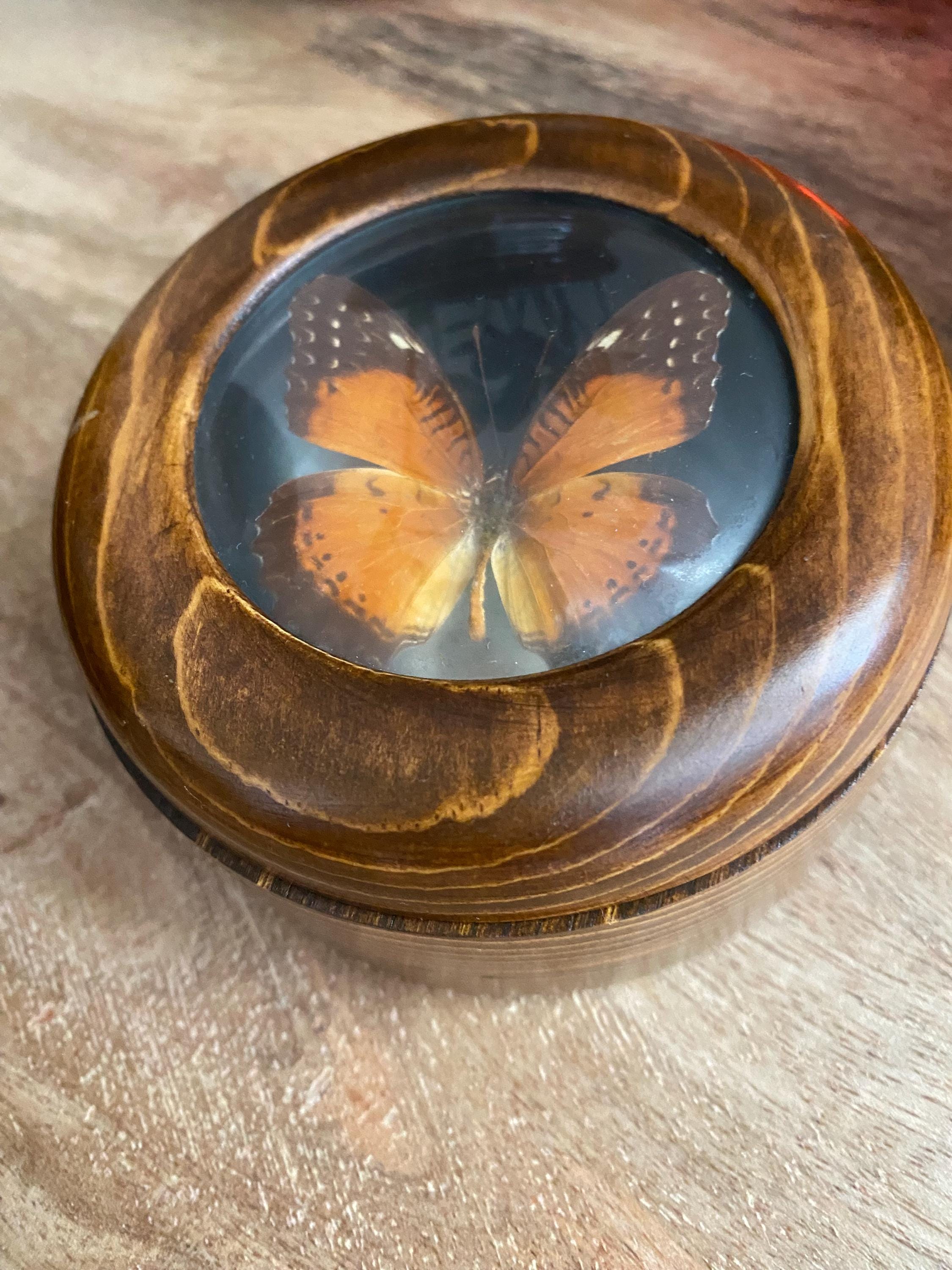 Antique Butterfly Jewelry Box - Etsy