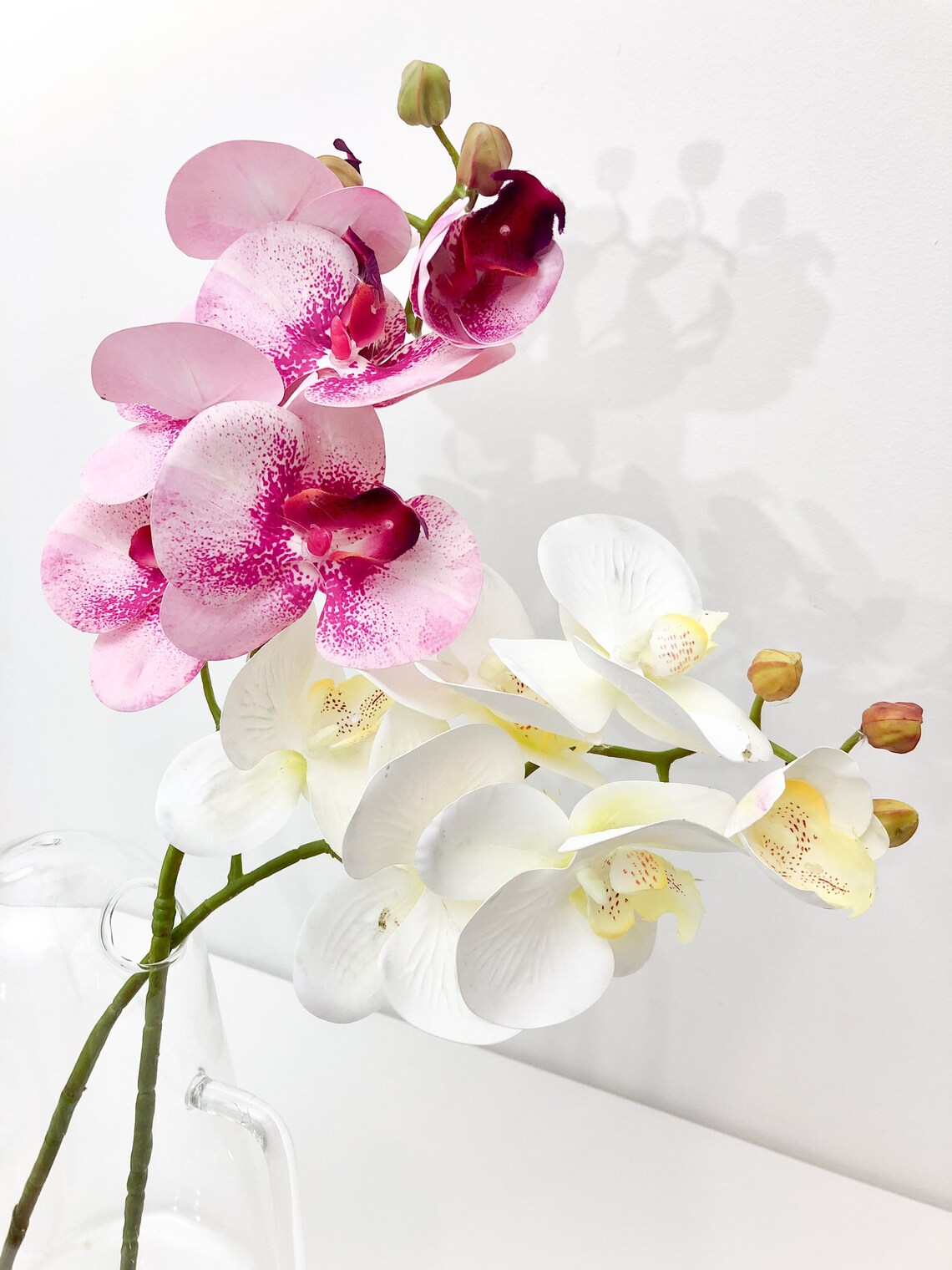 Artificial Orchid Stem Real Touch 17with 6 Heads Different Etsy