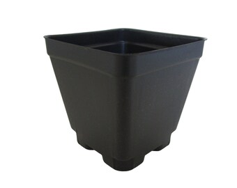 3.5 inch wide Square Plastic Flower Pots - Black - Seedling - Greenhouse - Nursery Pot