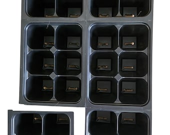 Seed Starting - 0606 Inserts for Growing Trays (6 trays of 6 holes per sheet) Jumbo Inserts