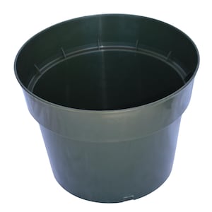 May include: A dark green plastic plant pot. The pot is round and has a smooth surface.