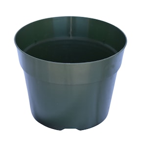 May include: A dark green plastic plant pot with a rounded bottom.