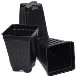May include: Three black plastic square plant pots of different sizes. The pots have a ribbed texture and are ideal for starting seeds or transplanting small plants.