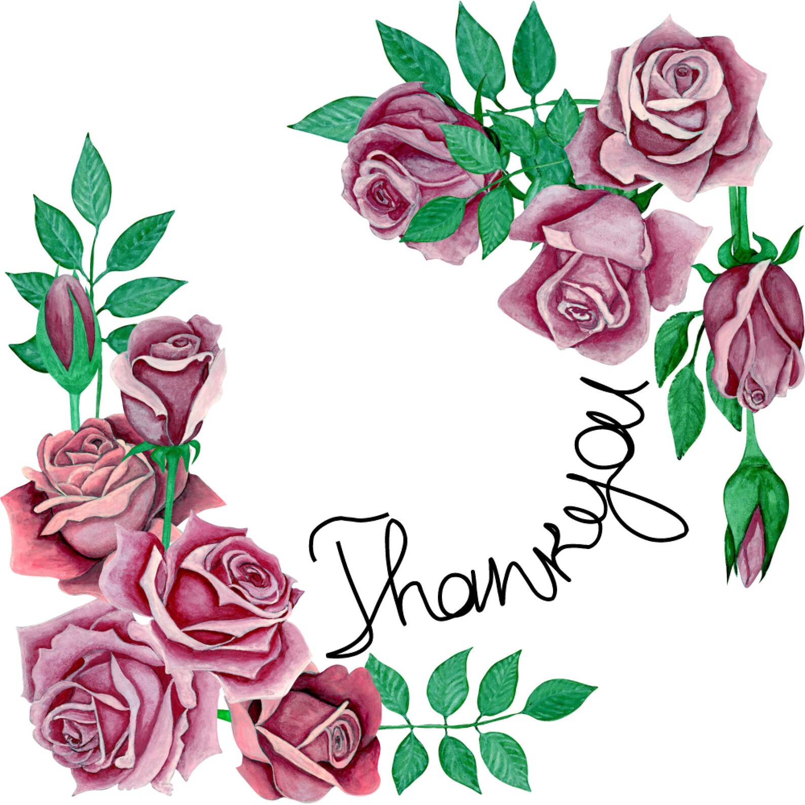 Watercolour Clip Art, 13 Pink Roses and Leaves on PNG Transparent ...
