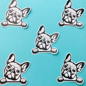 French Bulldog Sticker Black & White Frenchie Bulldog Head Paws Dog Decal for Car, Water Bottle image 2