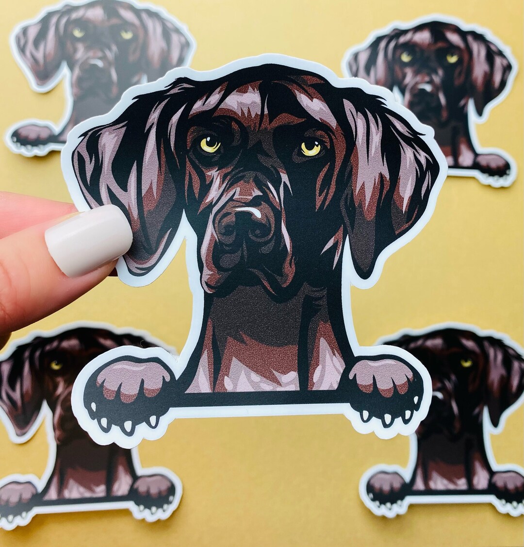 German Pointer Sticker German Shorthaired Pointer Decal Hunting Dog ...