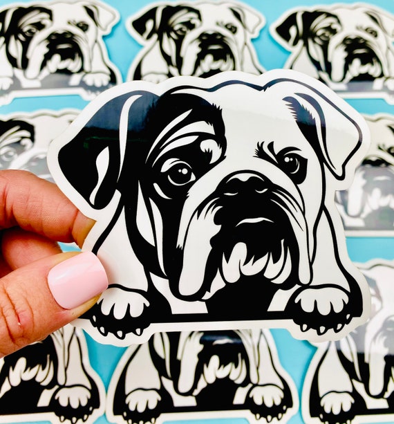 English Bulldog Sticker Black White English Bulldog Head Paws Dog Decal for Car Water Bottle Etsy