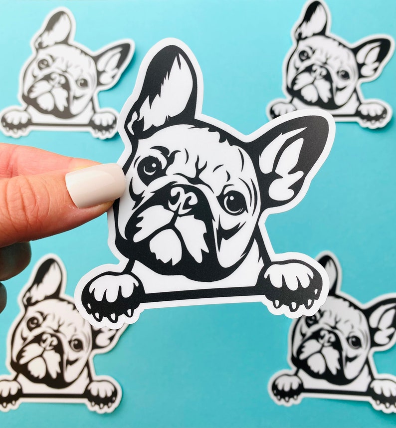 French Bulldog Sticker Black & White Frenchie Bulldog Head Paws Dog Decal for Car, Water Bottle image 1