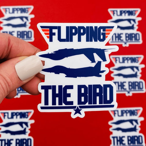 Funny Aviation Sticker - Flipping the Bird Sticker for Pilots, Jet, Aviator, Military Pilot, Air Force