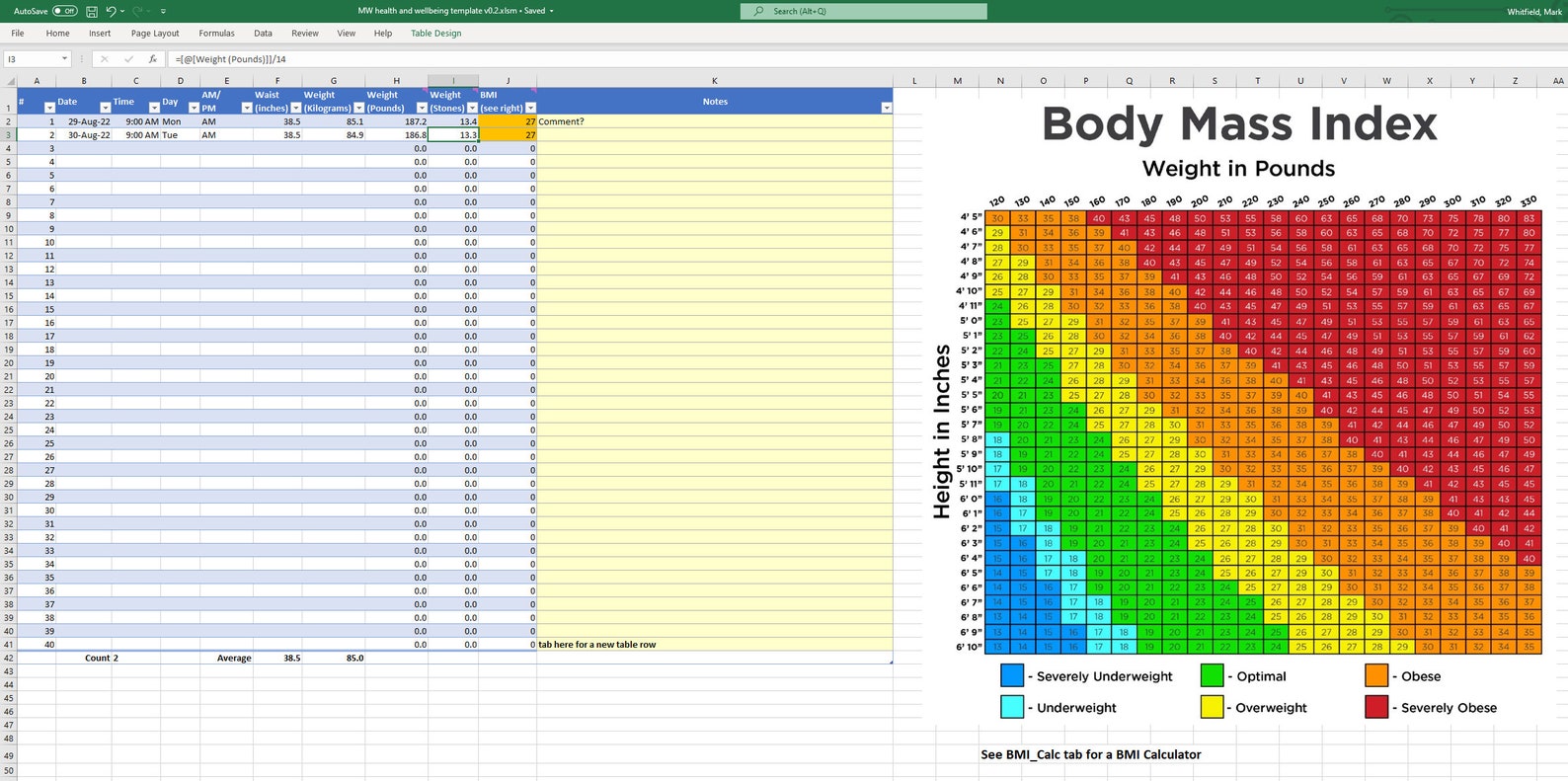 MS Excel Spreadsheet Template BMI, Body Mass Index, Blood Pressure