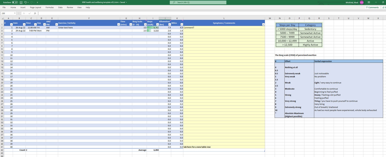 MS Excel Spreadsheet Template BMI, Body Mass Index, Blood Pressure