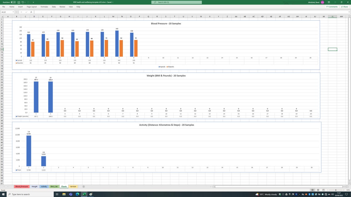 MS Excel Spreadsheet Template BMI, Body Mass Index, Blood Pressure