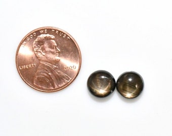 Black Star Sapphire Cab Round 8.25mm Approximately 6 Carat Matching Pair