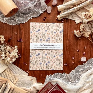 Set di carta - Fiori di campo