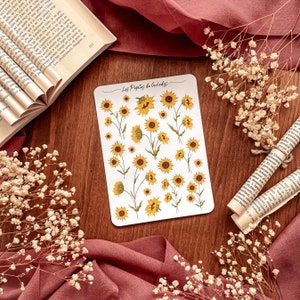 Planche de tournesols