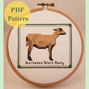 May include: A cross-stitch pattern of a Barbados Black Belly sheep in a green frame. The pattern is in a wooden embroidery hoop. The text "Barbados Black Belly" is below the sheep.