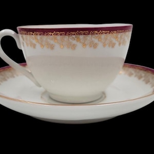 Carl Tielsch Cup & Saucer Gold Trim Altwasser Germany 1891 - 1935 Tea Coffee
