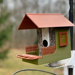 Birdbuddy custom bigger bird house