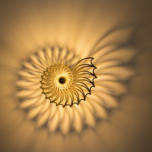 Wooden wall lamp, Nautilus shell, living room lighting, E27 socket