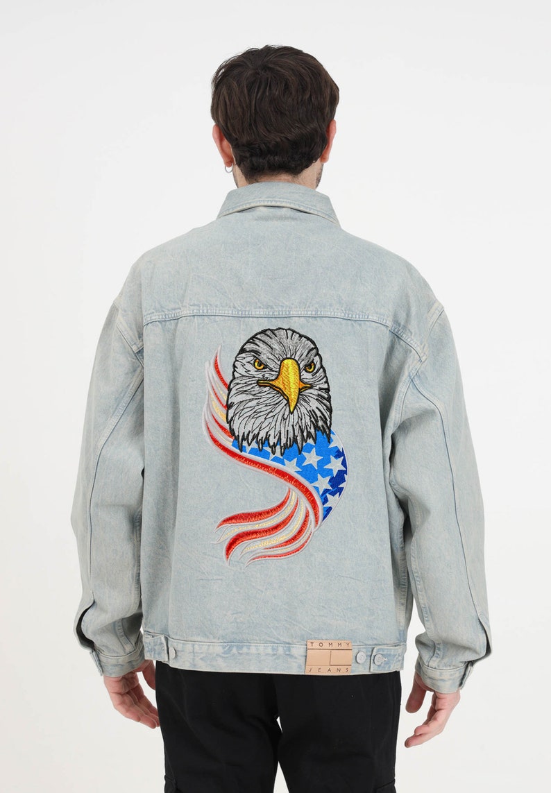 イーグルの機械刺繍デザイン、米国イーグルの刺繍機ファイル、7月4日の機械刺繍デザイン - 即時ダウンロード 画像 6