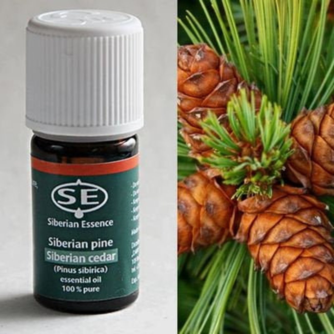 Cedar Essential Oil Pure essential oils Cedar oil Fragrance Etsy