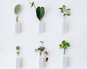 TOPSY (SET OF 2 ) Wall Propagation Station l Feature Vessels l Wall Decor l Indoor Wall Planter l Hanging Planter