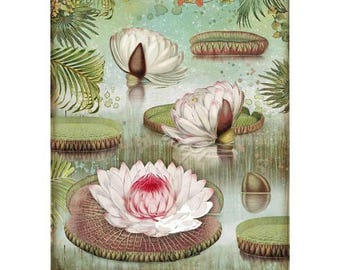 Stamperia A4 Decoupage Rice Paper - Amazonia Water Lily, DFSA4529