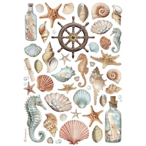 May include: A collection of nautical-themed illustrations featuring seashells, starfish, seahorses, a ship's wheel, and bottles with scrolls. The color palette includes shades of beige, brown, and blue, creating a vintage aesthetic.